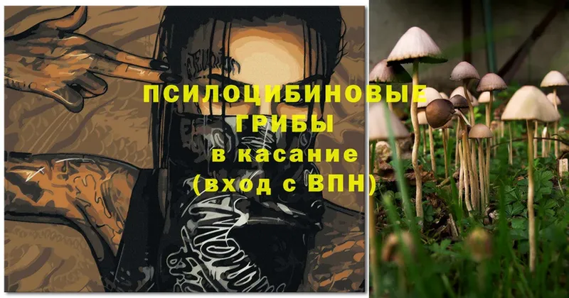 Псилоцибиновые грибы Magic Shrooms  Донской 